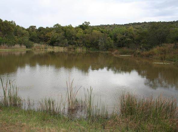 1 ha Land available in Lydenburg photo number 5