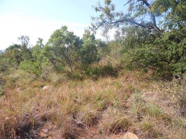 1 ha Land available in Lydenburg photo number 11