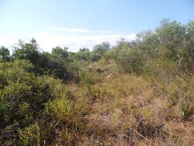 1 ha Land available in Lydenburg photo number 12