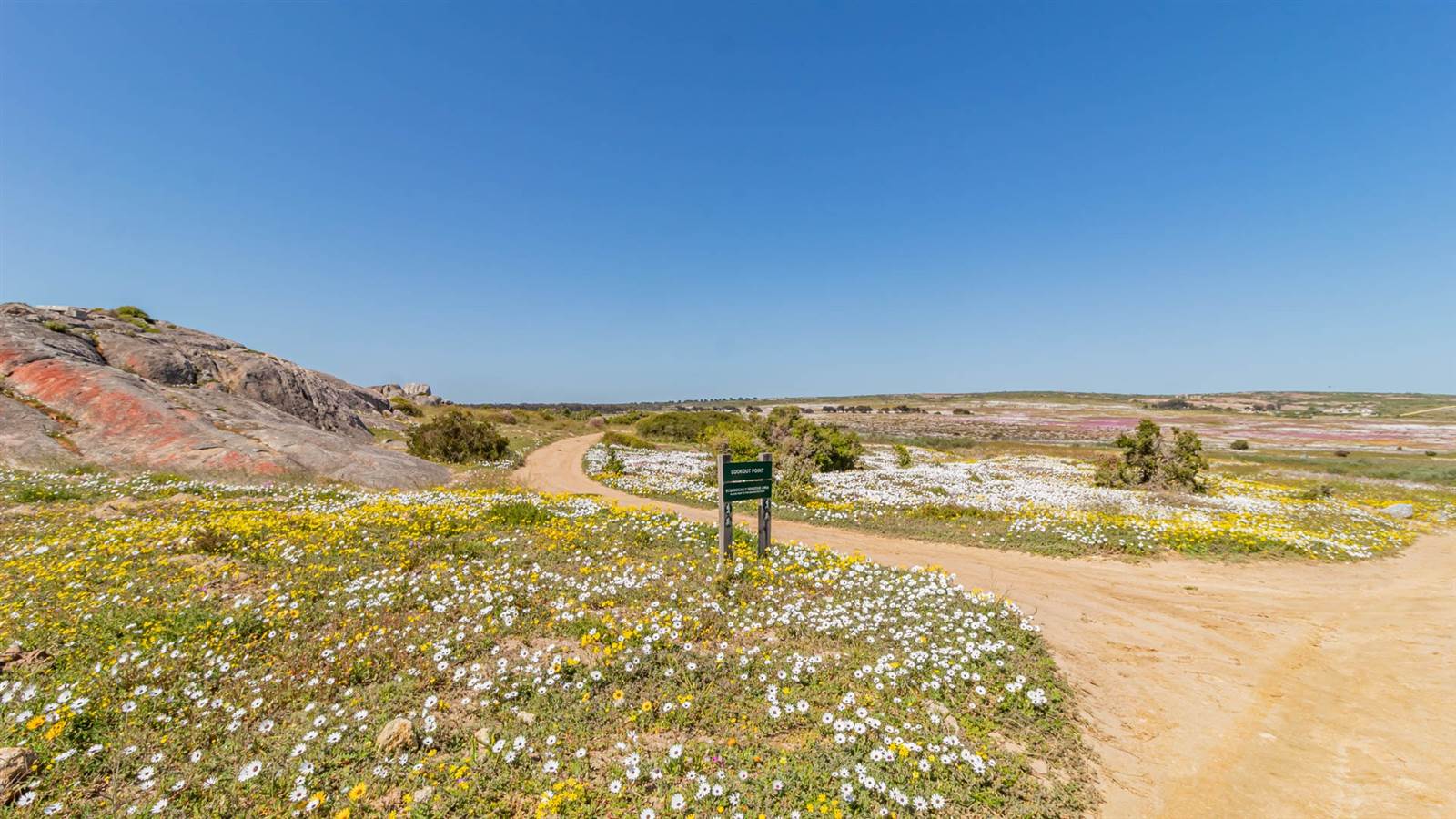 748 m² Land available in Langebaan Country Estate photo number 15