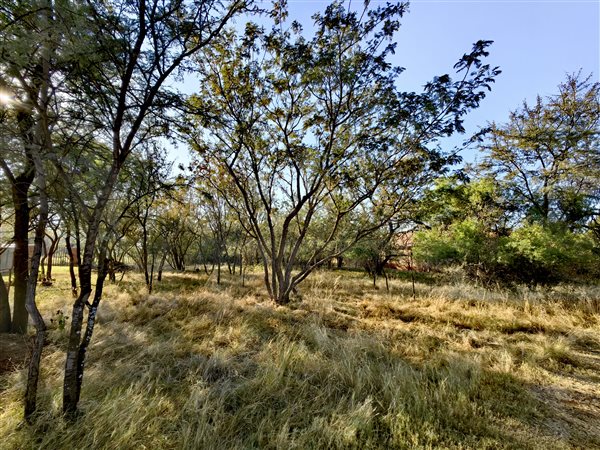 992 m² Land