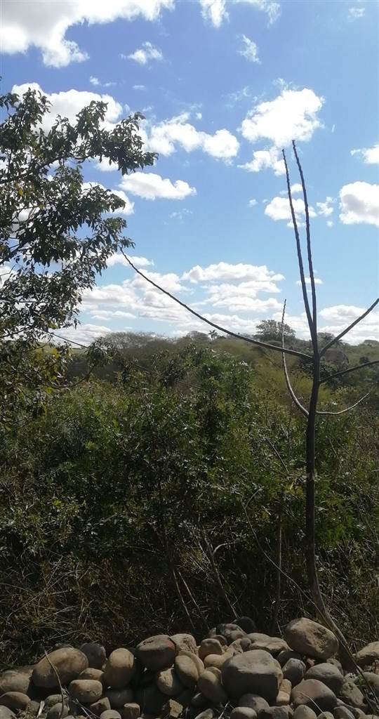 4047 m² Land available in Mount Moreland photo number 6