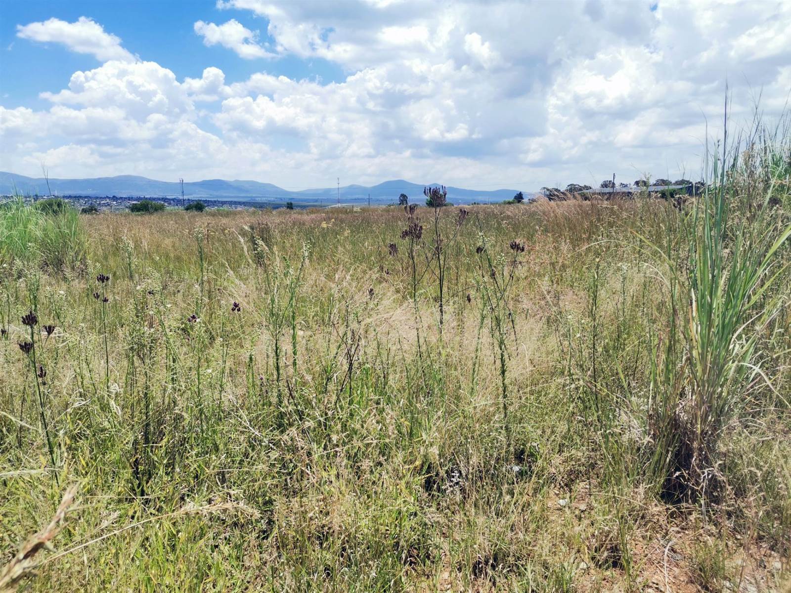 2435 m² Land available in Lydenburg photo number 1