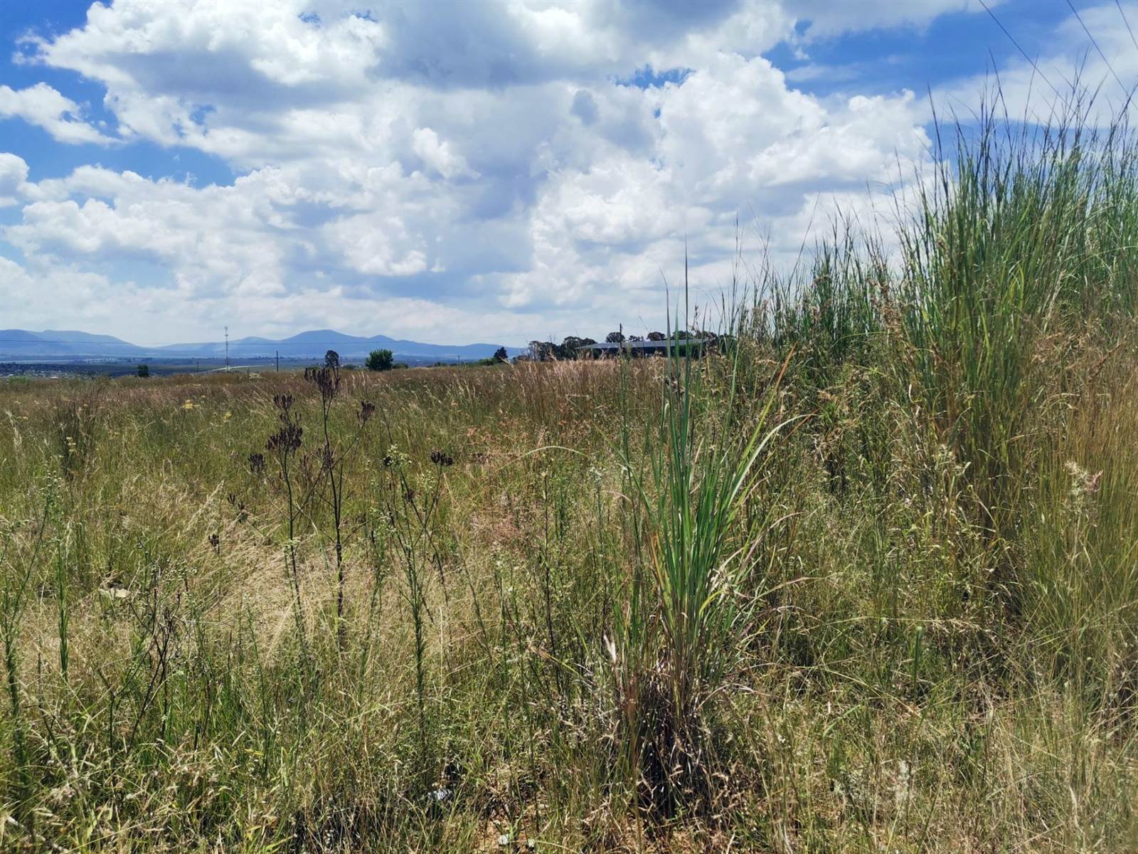 2435 m² Land available in Lydenburg photo number 4