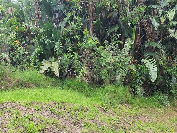 1386 m² Land available in Palm Beach