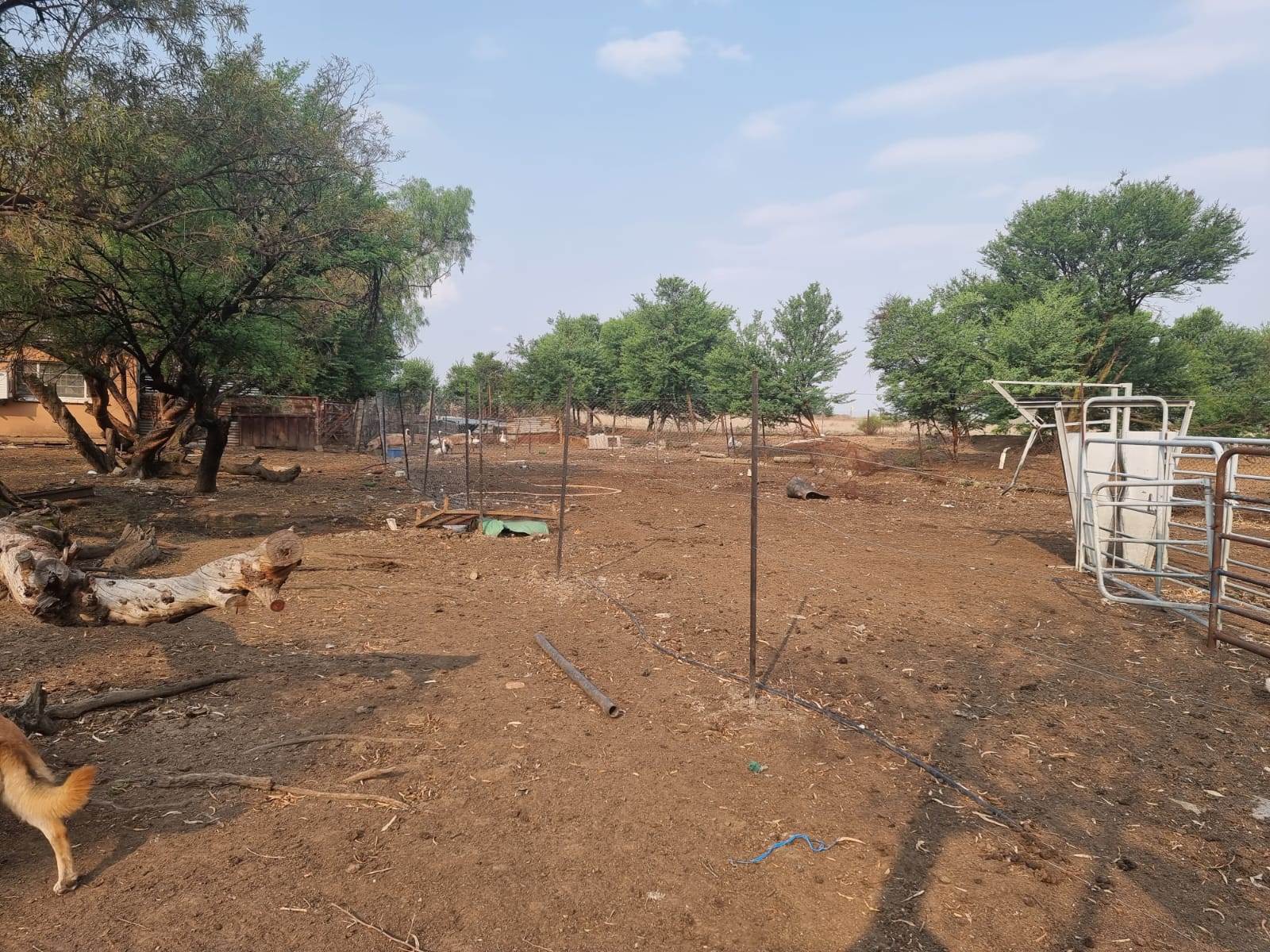 8.4 ha Smallholding in Bloemfontein photo number 4