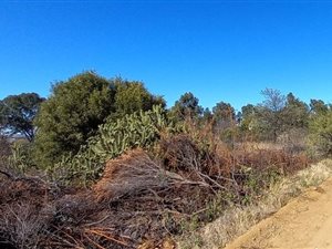 1624 m² Land available in Vaal Marina