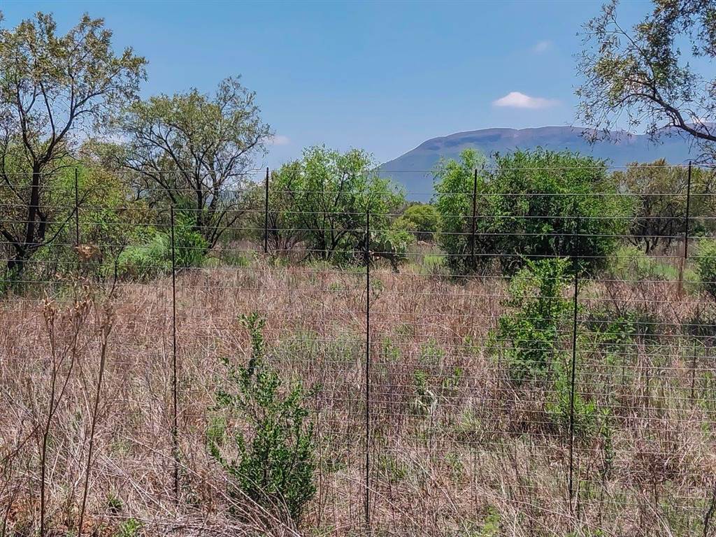 2.3 ha Land available in Rietfontein AH photo number 5