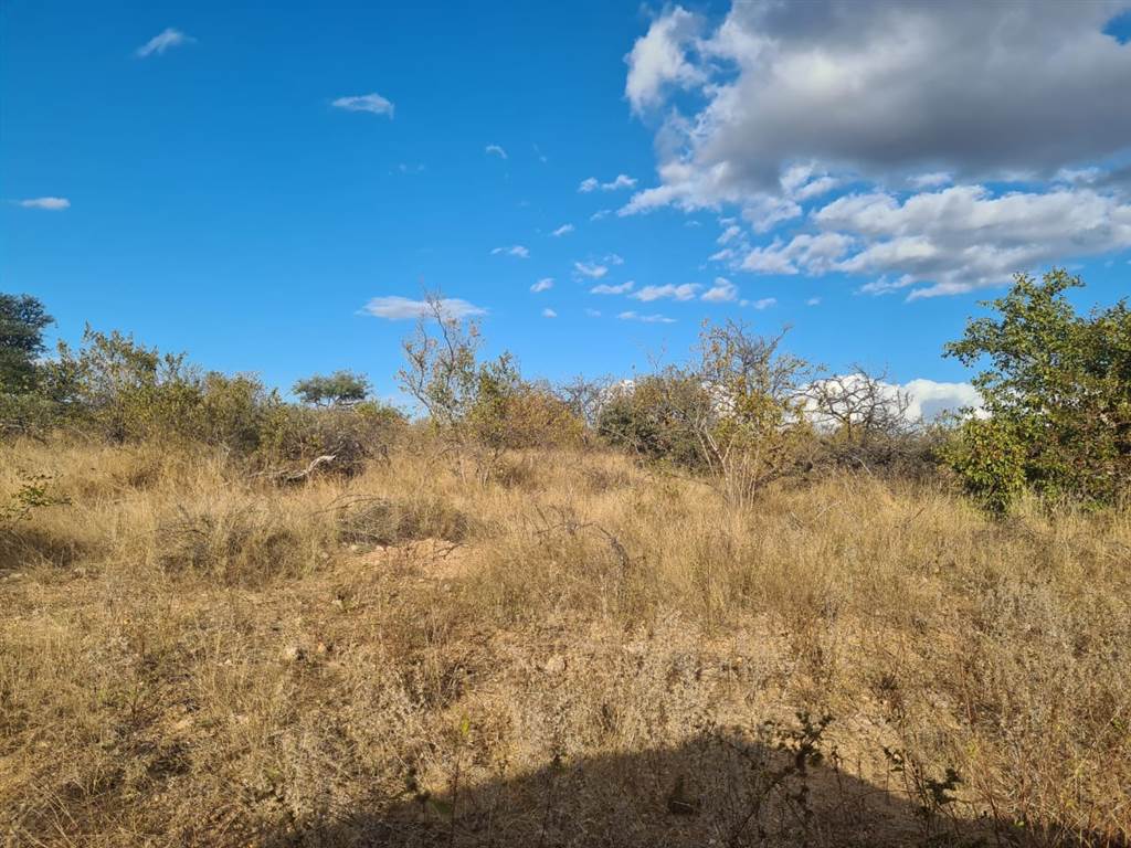 21 ha Land available in Phalaborwa photo number 5