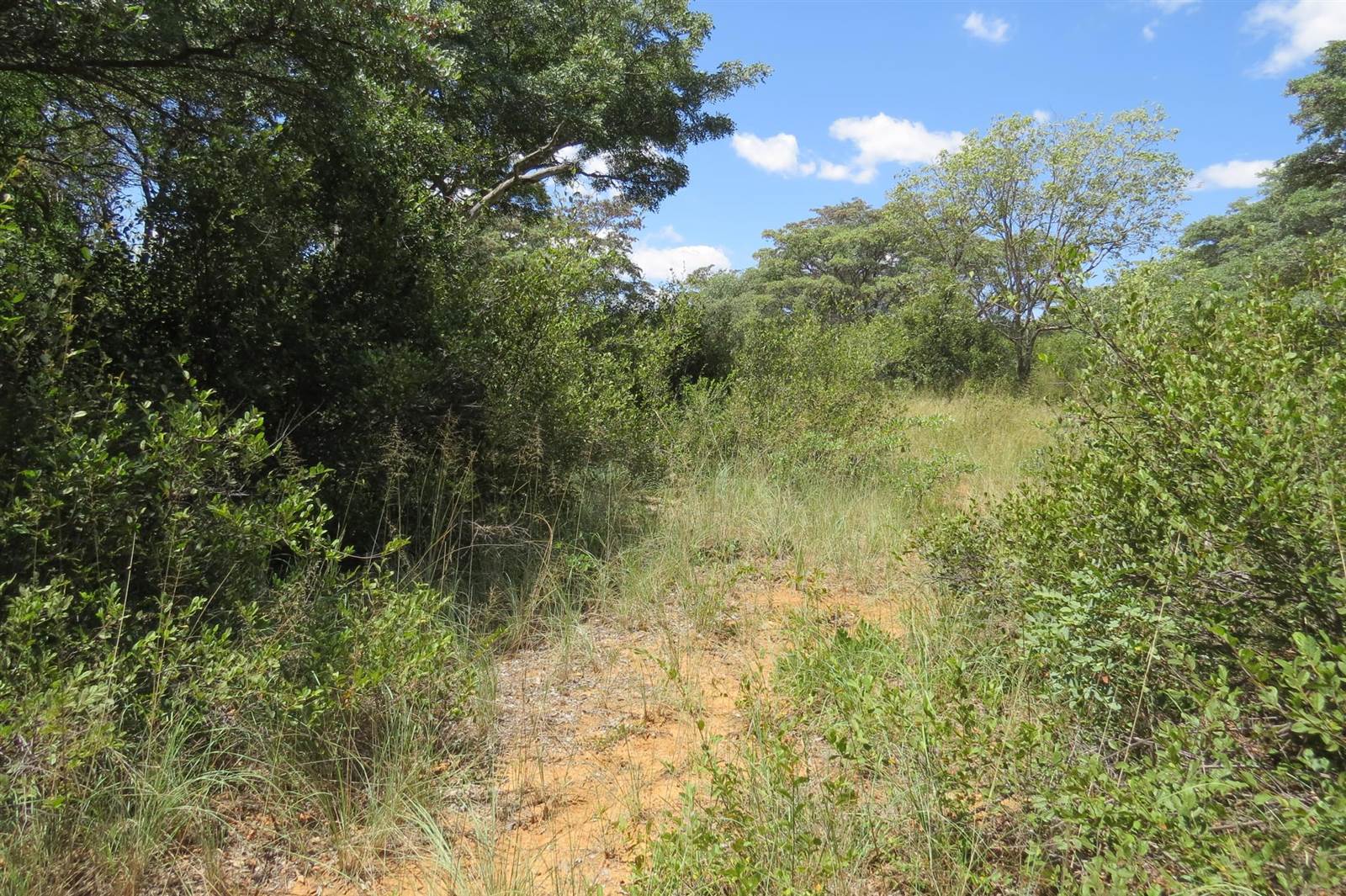 233 ha Land available in Modimole (Nylstroom) photo number 1