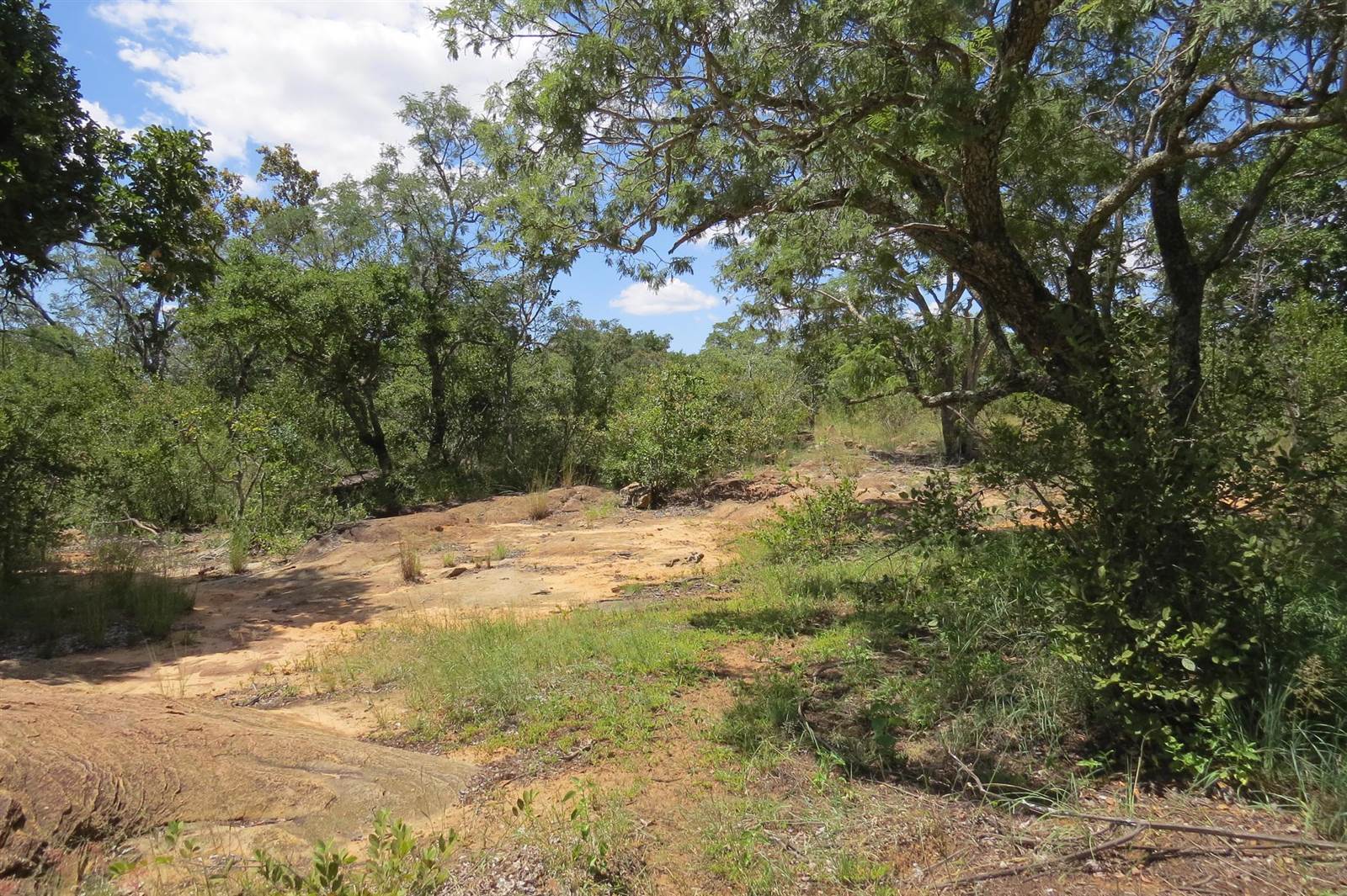 233 ha Land available in Modimole (Nylstroom) photo number 7