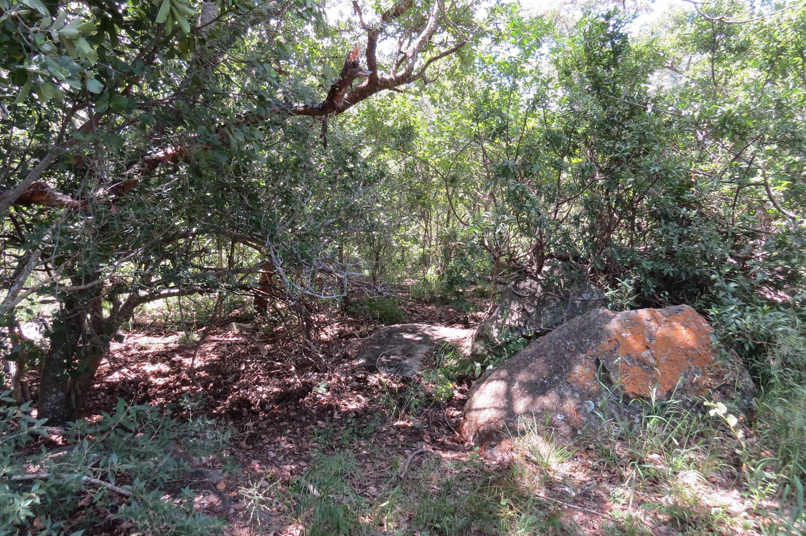 233 ha Land available in Modimole (Nylstroom) photo number 2