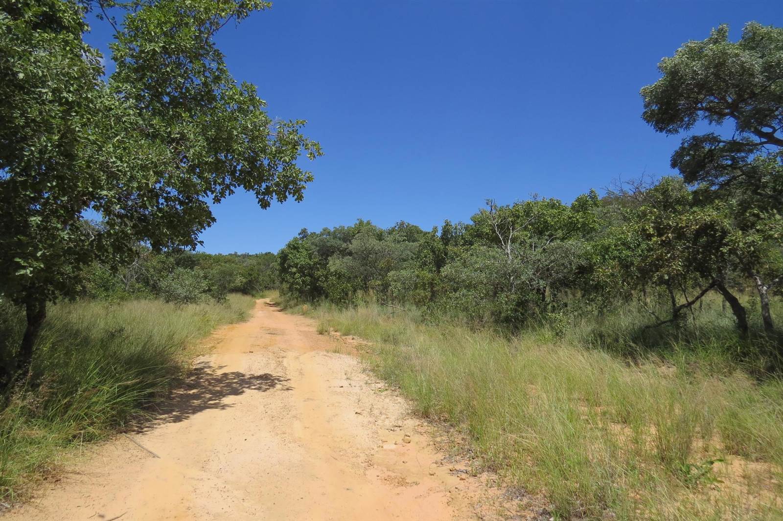 233 ha Land available in Modimole (Nylstroom) photo number 6