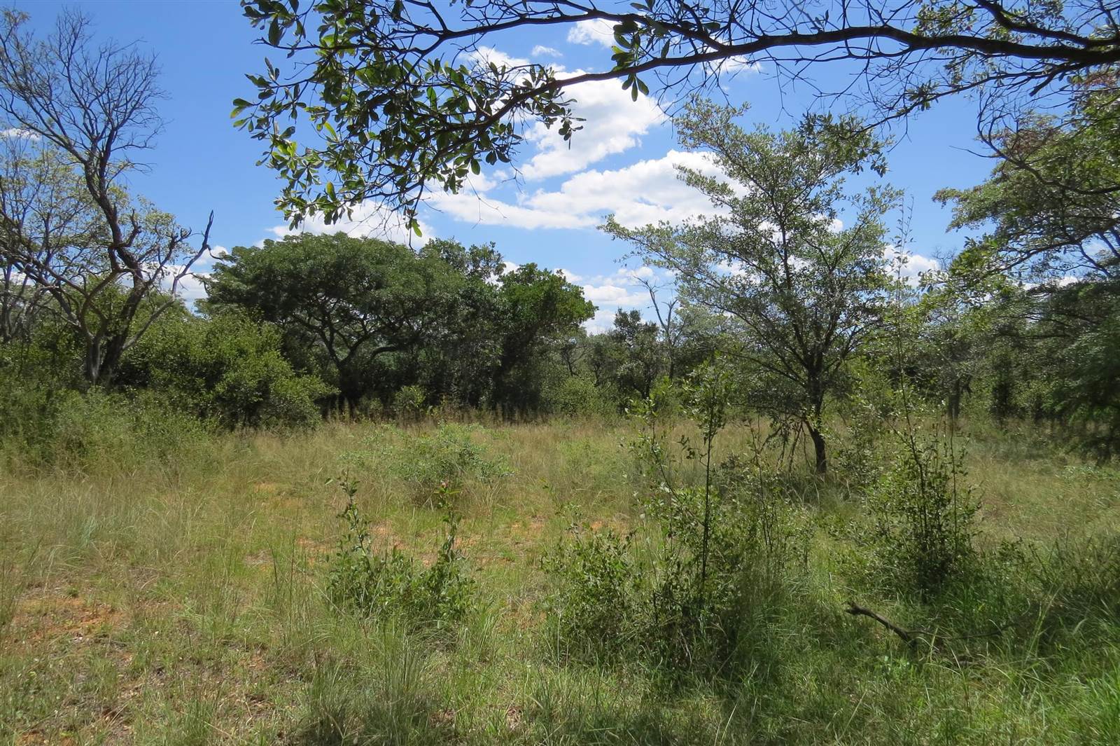 233 ha Land available in Modimole (Nylstroom) photo number 8