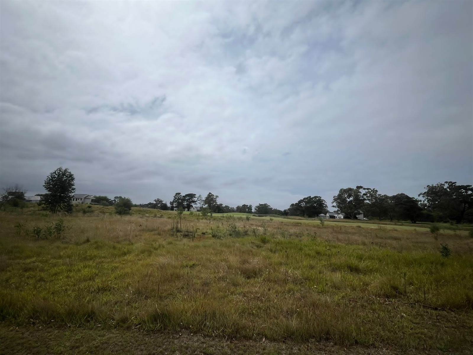 641 m² Land available in Wedgewood Golf Estate photo number 4