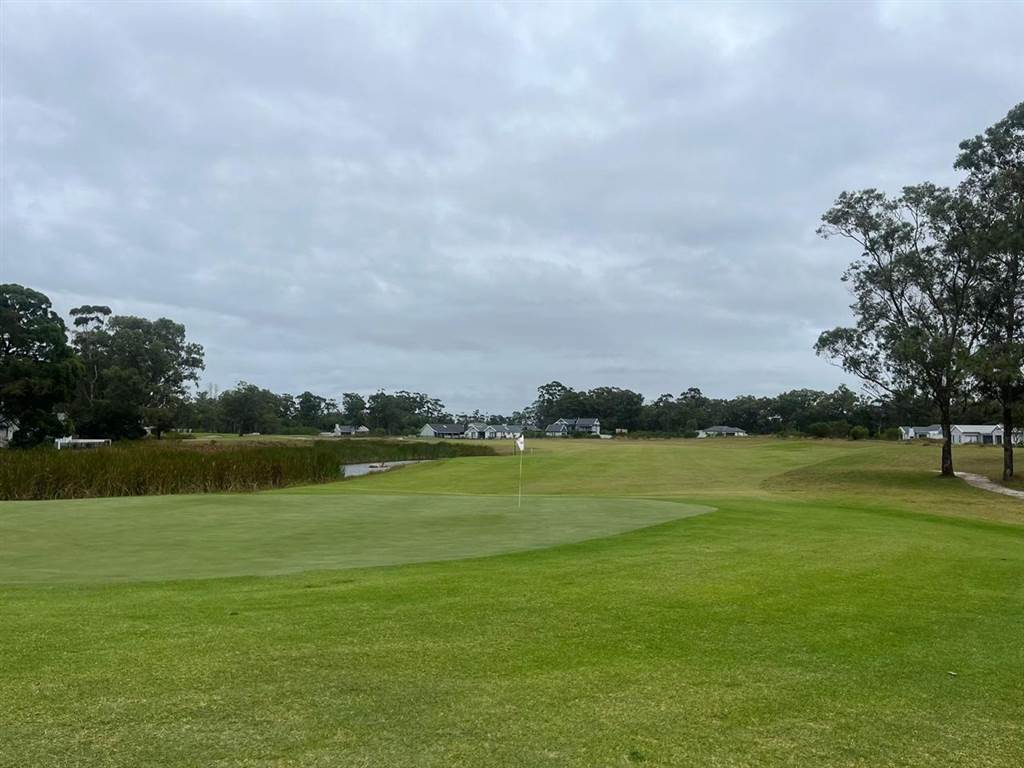 641 m² Land available in Wedgewood Golf Estate photo number 6