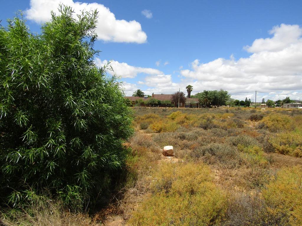 648 m² Land available in Touws Rivier photo number 5