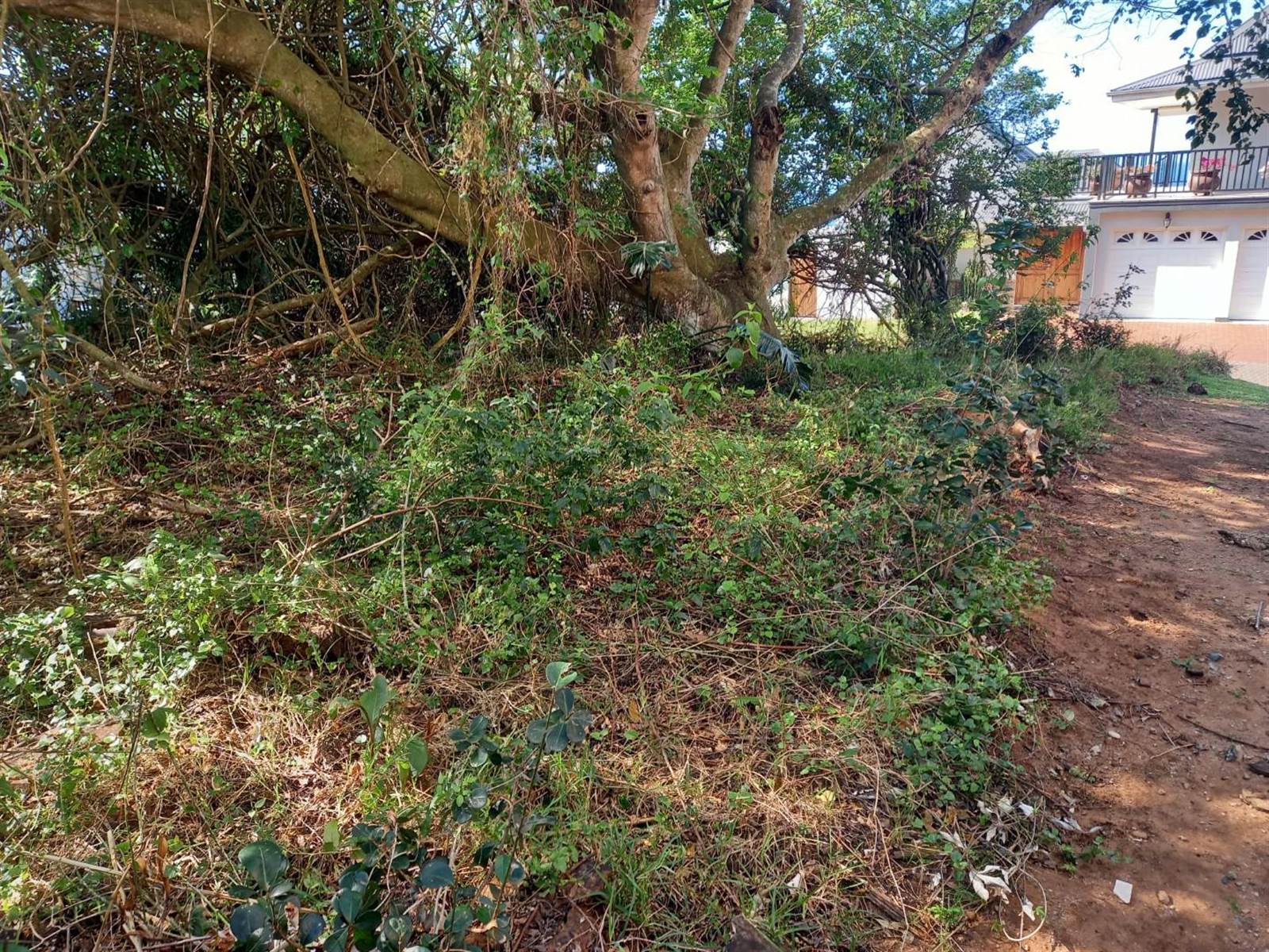 498 m² Land available in Princes Grant Golf Estate photo number 2