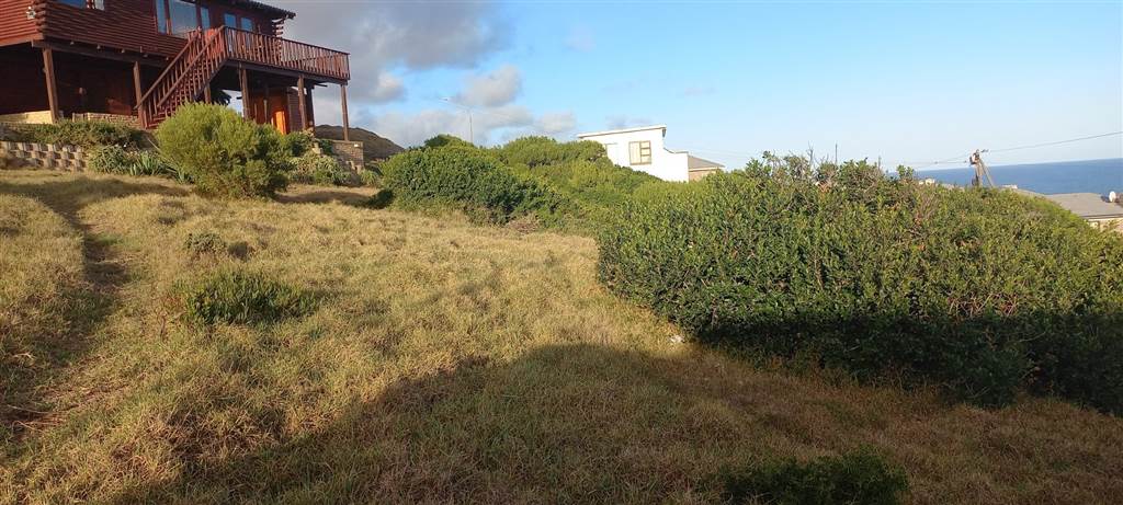 869 m² Land available in Dana Bay photo number 6