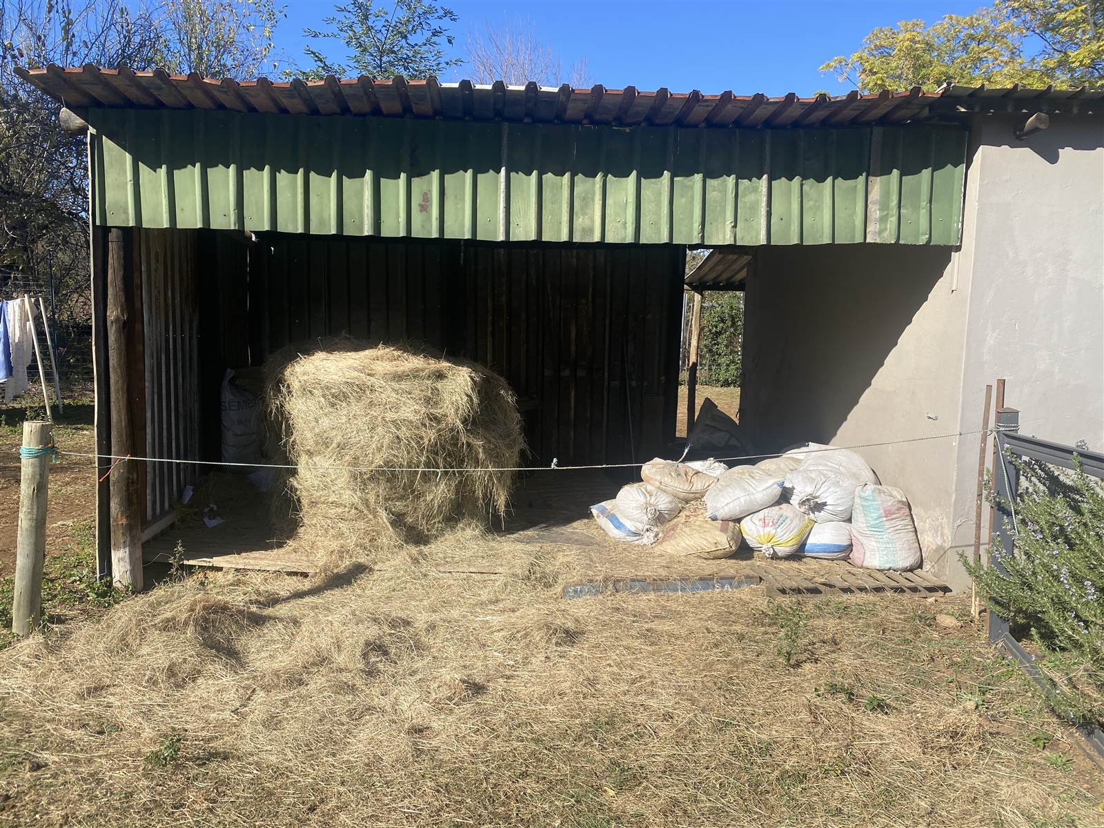 4.2 ha Smallholding in Mooiplaats AH photo number 24