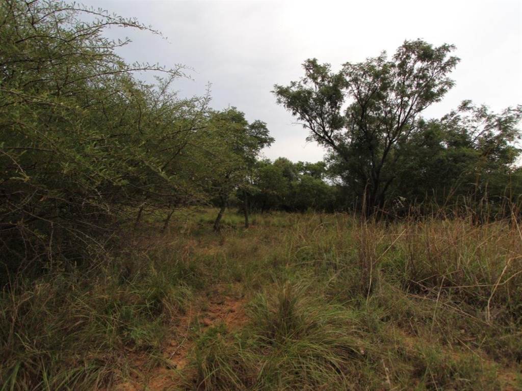 1500 m² Land available in Koro Creek Golf Estate photo number 2