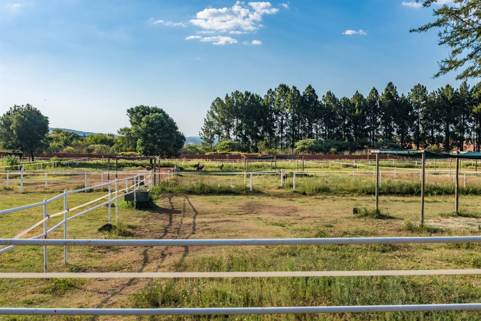 1 ha Land available in Mooikloof Equestrian Estate photo number 9
