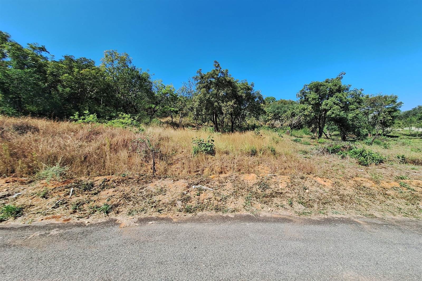 4572 m² Land available in Drum Rock photo number 4