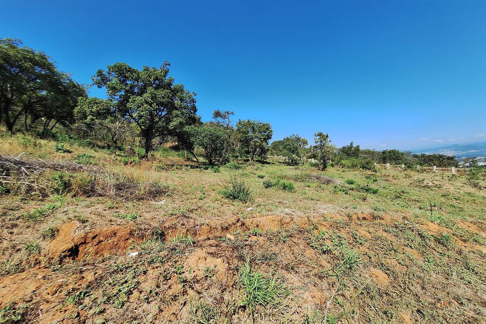4572 m² Land available in Drum Rock photo number 3