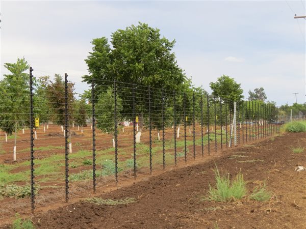 24 ha Farm 24 ha Farm