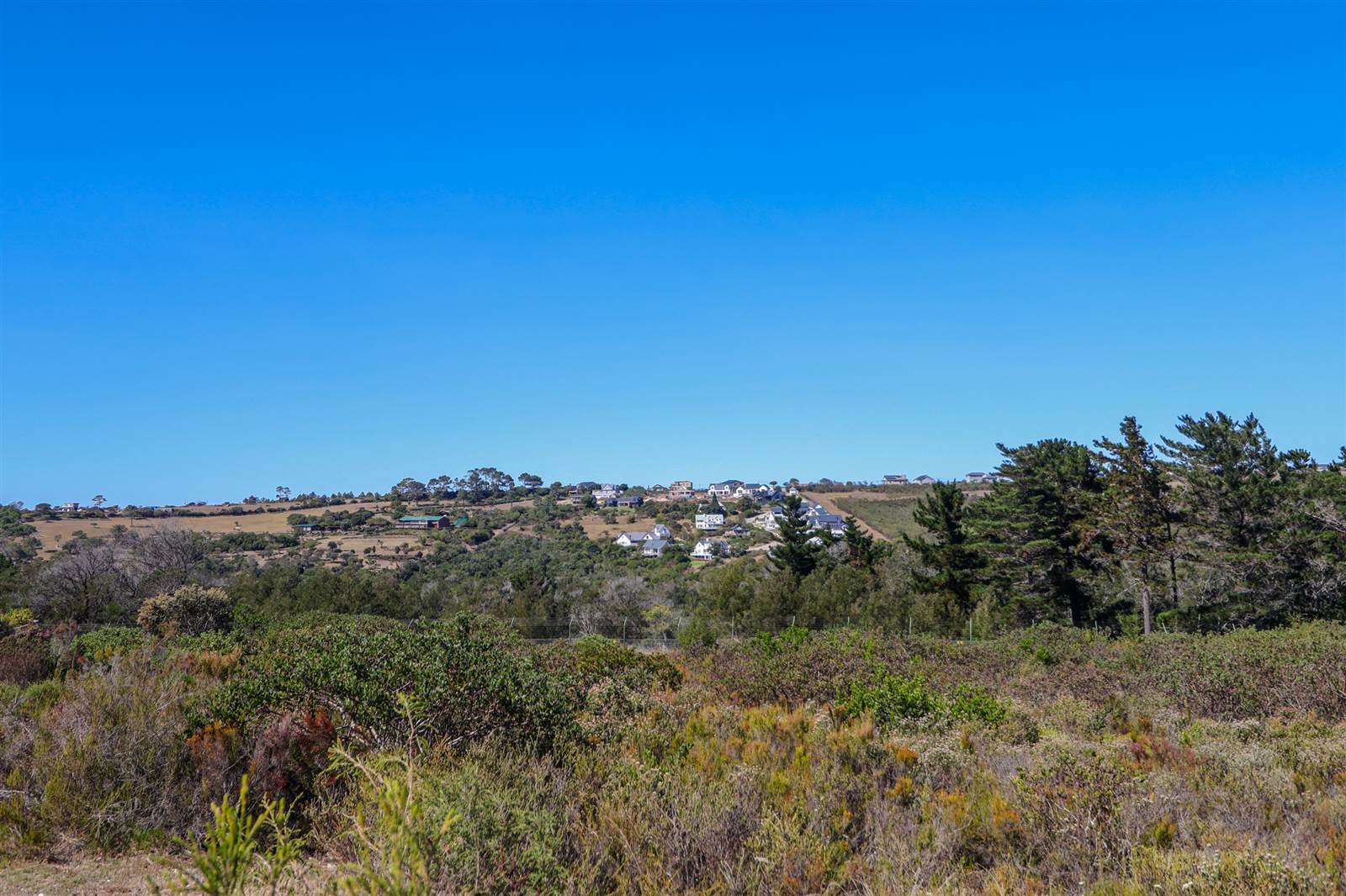 1493 m² Land available in Brackenridge photo number 14