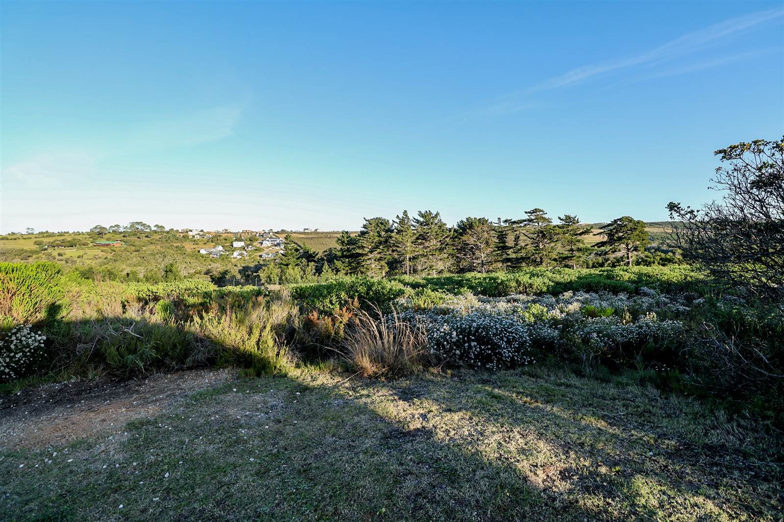 1493 m² Land available in Brackenridge photo number 7