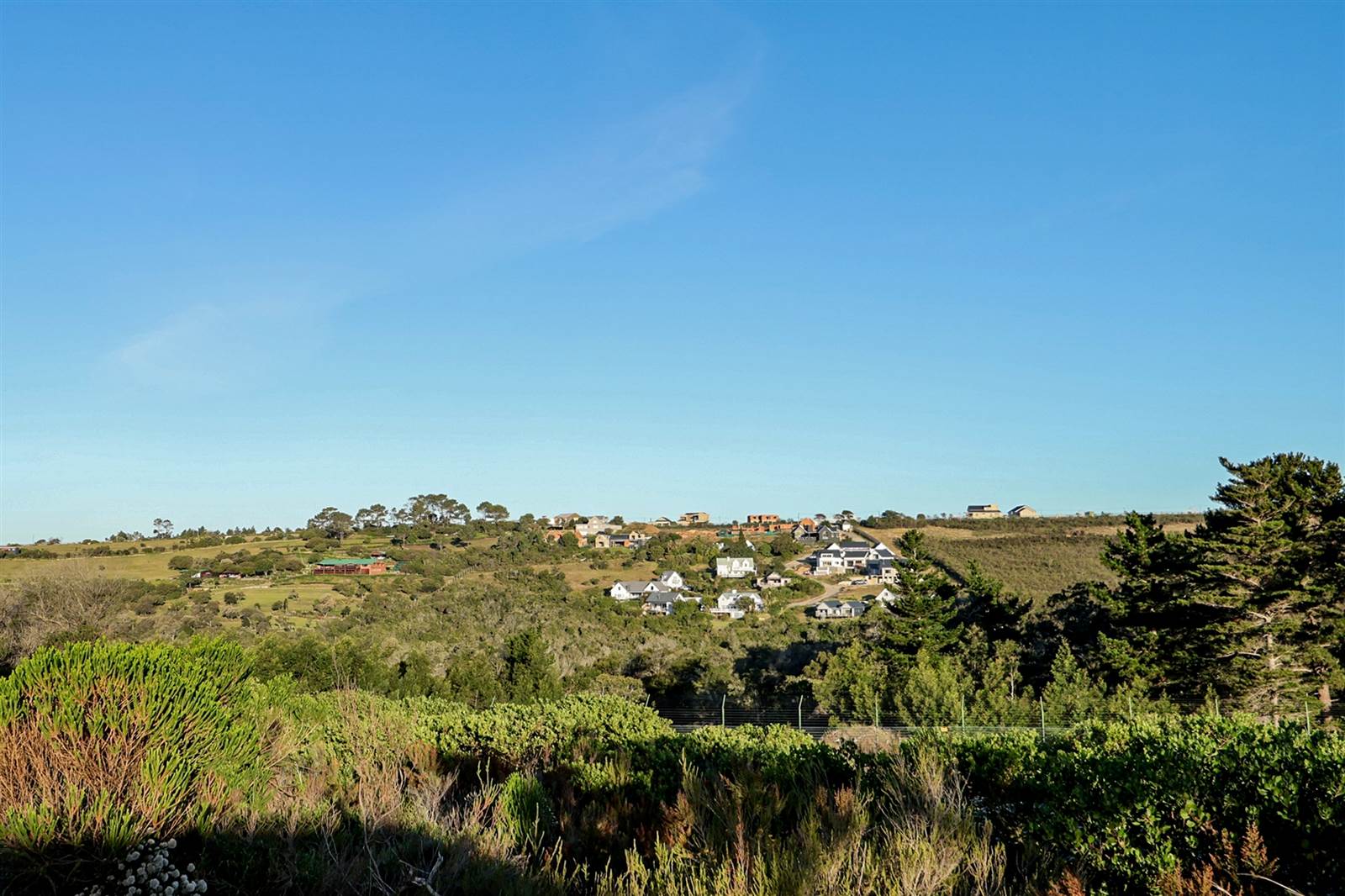 1493 m² Land available in Brackenridge photo number 11