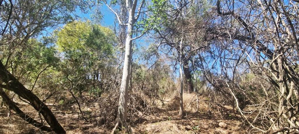 2330 m² Land available in Marloth Park photo number 4
