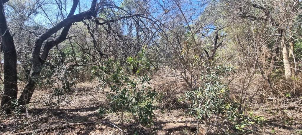 2330 m² Land available in Marloth Park photo number 5