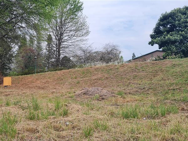 248 m² Land