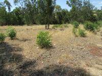 1720 m² Land available in Malmesbury photo number 3