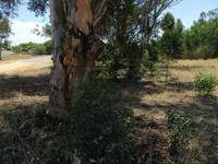 1720 m² Land available in Malmesbury photo number 5