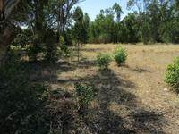 1720 m² Land available in Malmesbury photo number 4