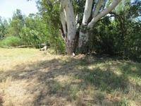 1720 m² Land available in Malmesbury photo number 2