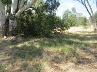 1720 m² Land available in Malmesbury photo number 10