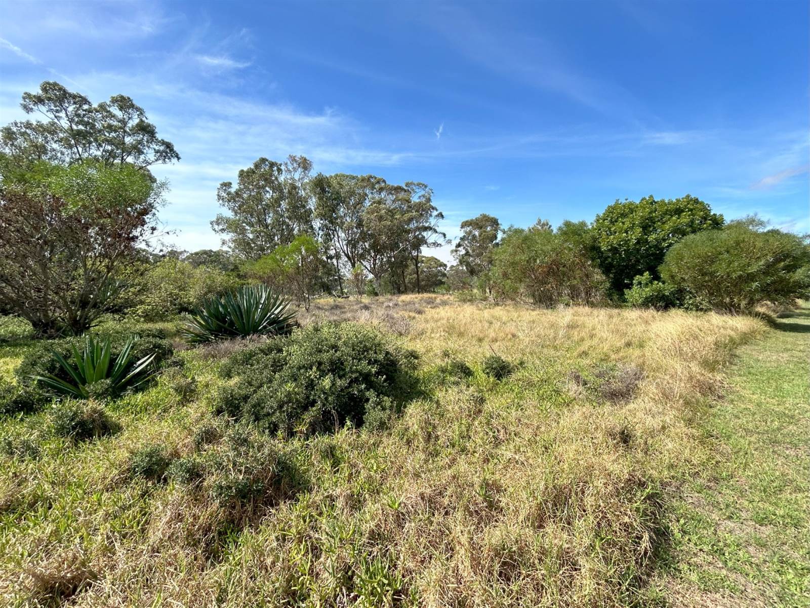 691 m² Land available in Wedgewood Golf Estate photo number 5