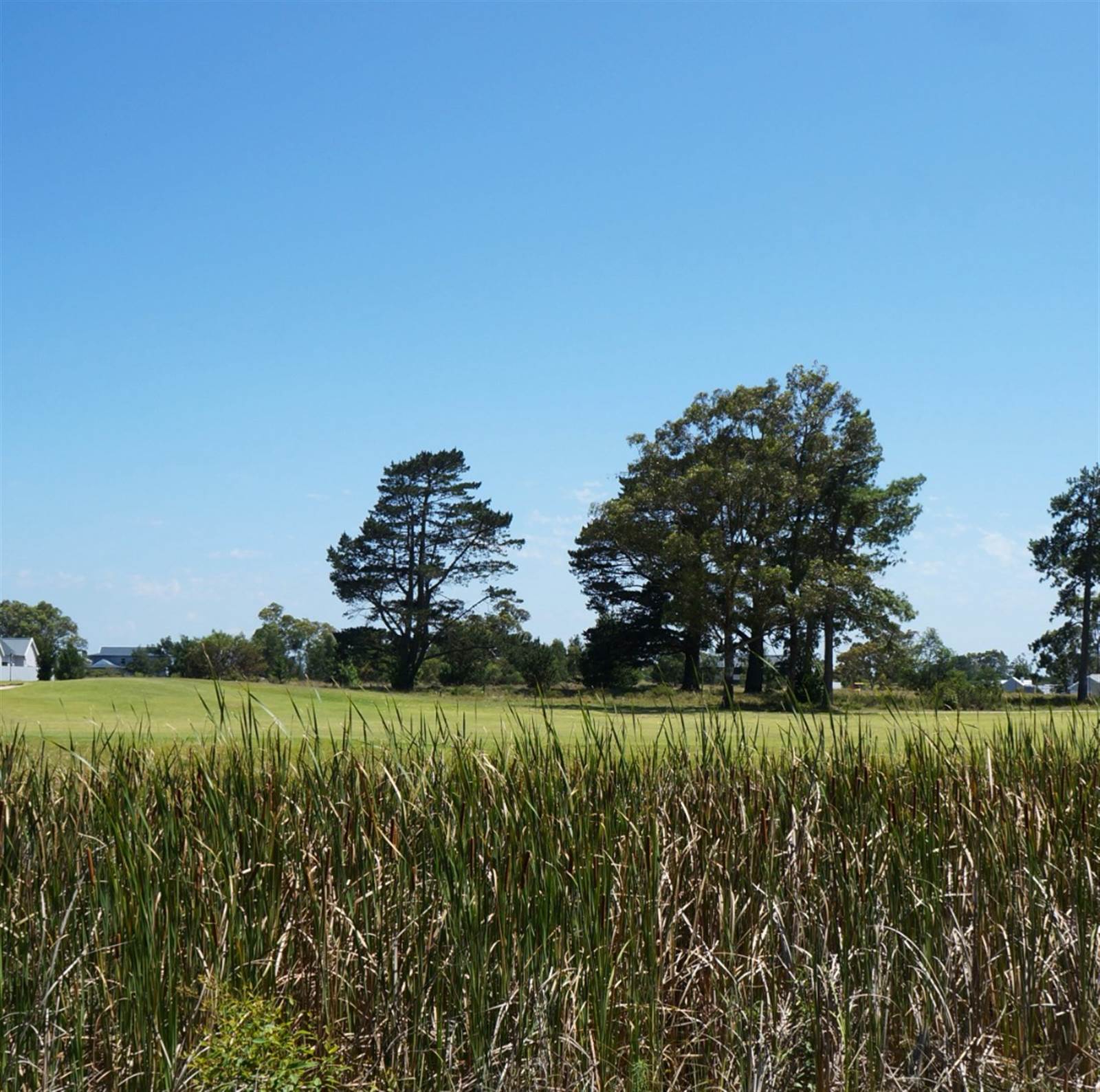 691 m² Land available in Wedgewood Golf Estate photo number 16
