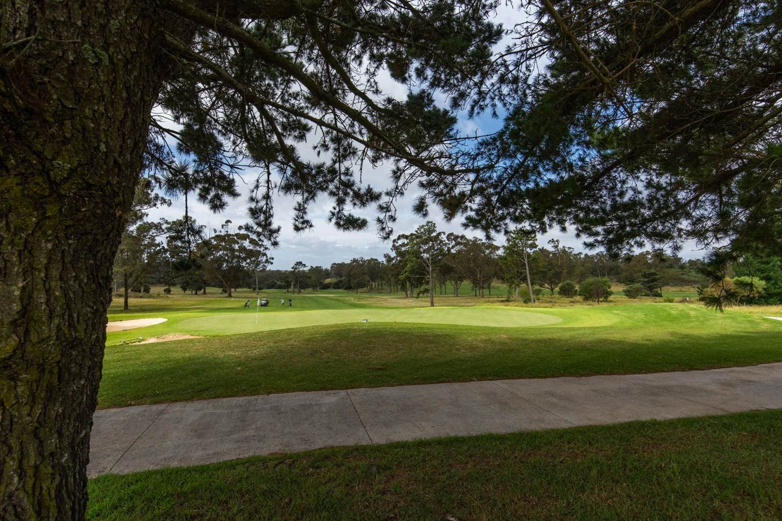 691 m² Land available in Wedgewood Golf Estate photo number 14