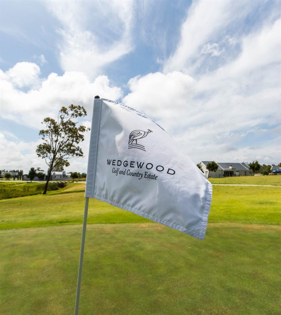 691 m² Land available in Wedgewood Golf Estate photo number 7