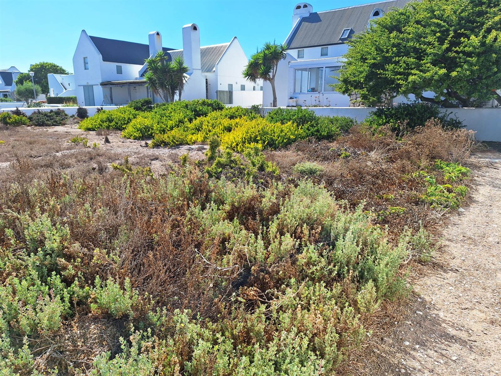 539 m² Land available in Jacobsbaai photo number 14