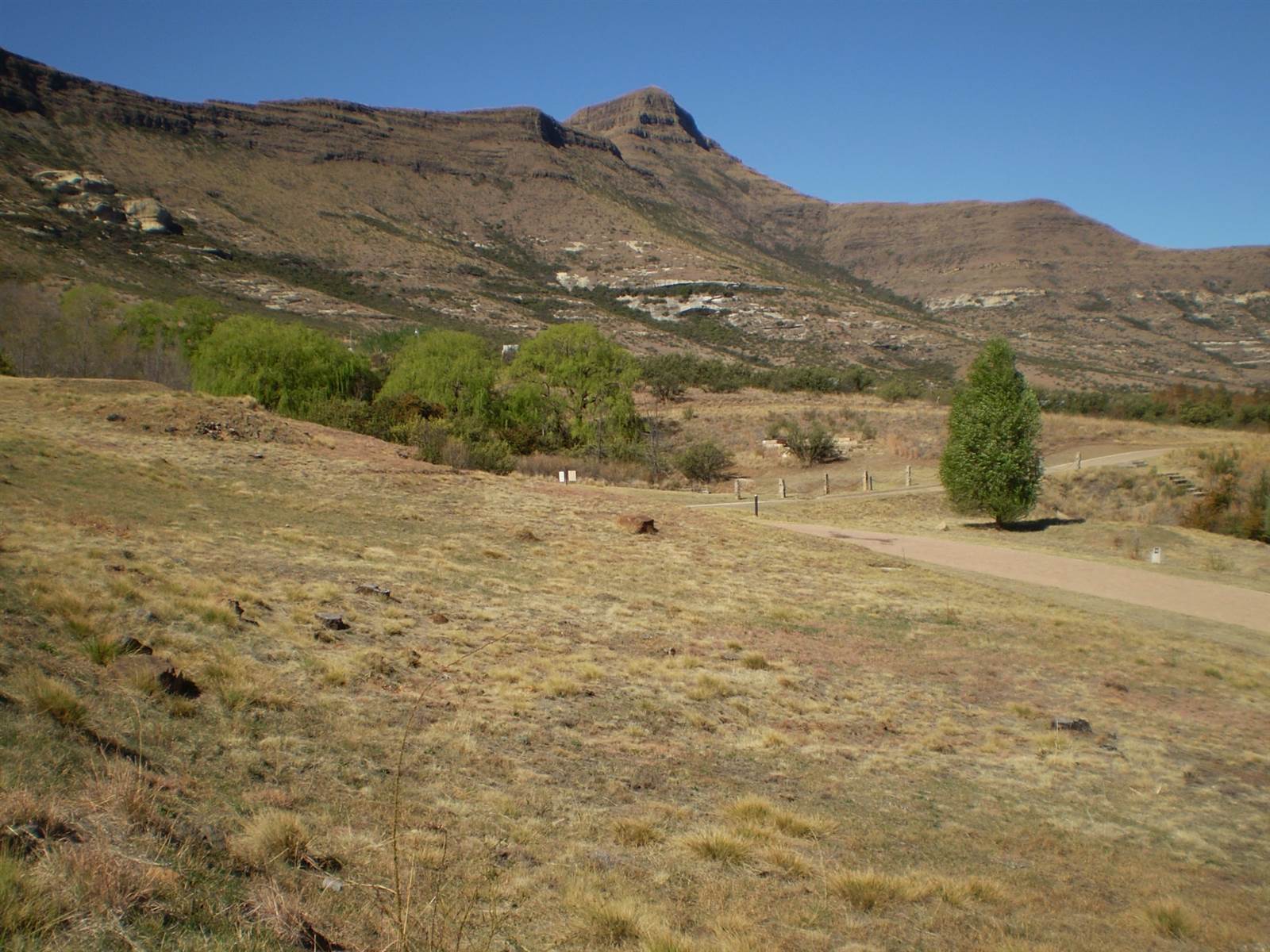 1390 m² Land available in Clarens photo number 8