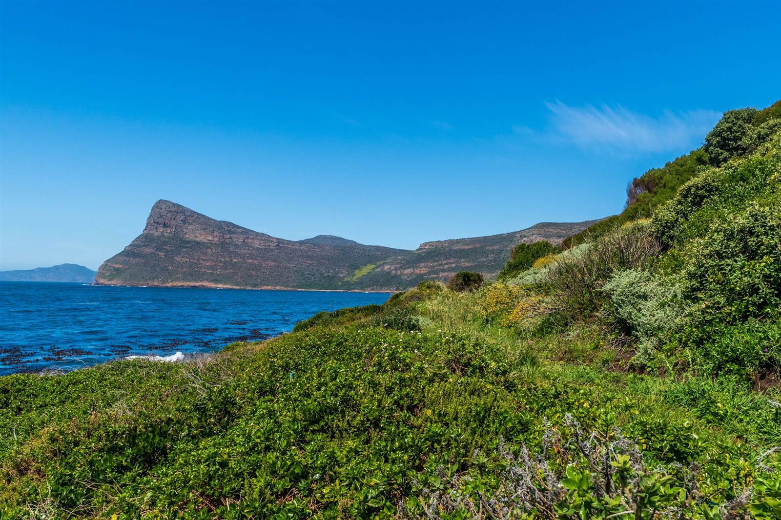 2.8 ha Land available in Simons Town photo number 15