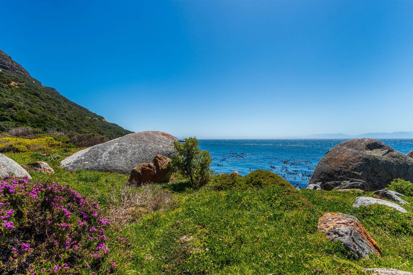 2.8 ha Land available in Simons Town photo number 28