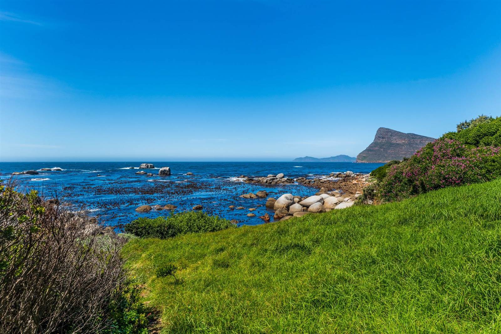 2.8 ha Land available in Simons Town photo number 26