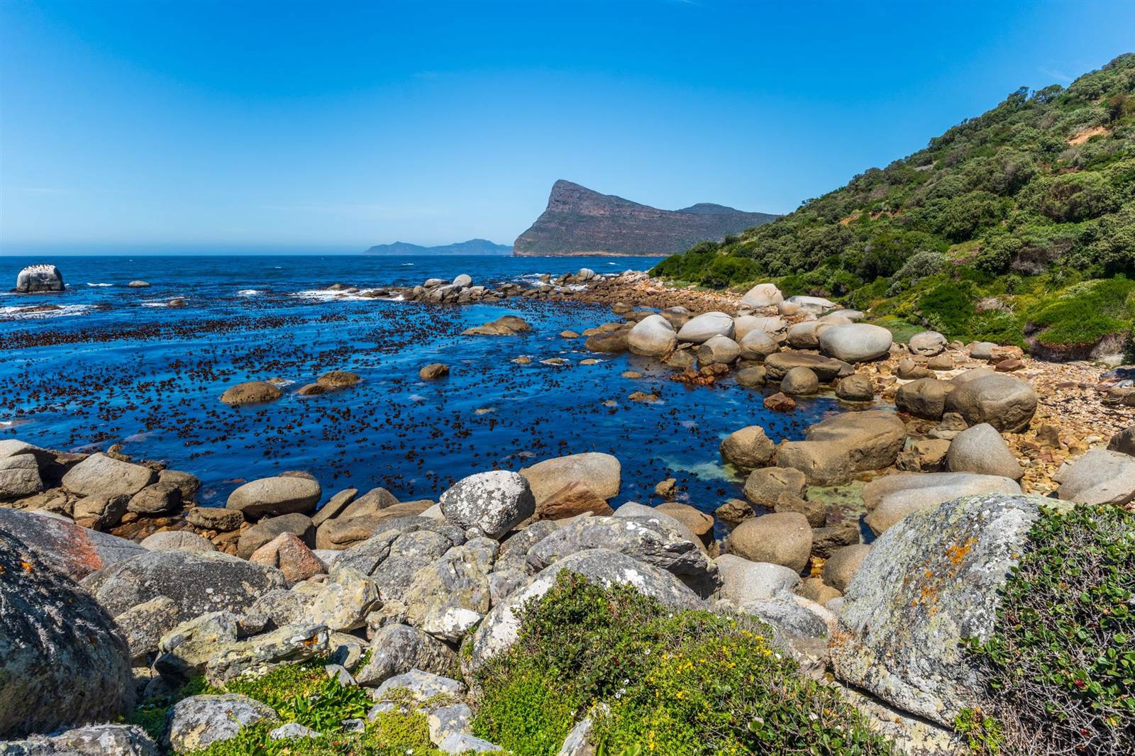2.8 ha Land available in Simons Town photo number 3